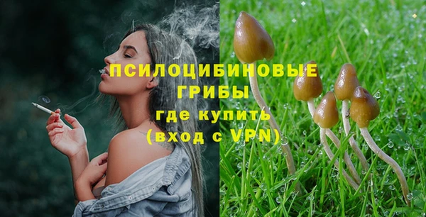 метадон Козловка