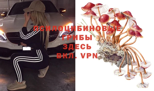 экстази Дмитров